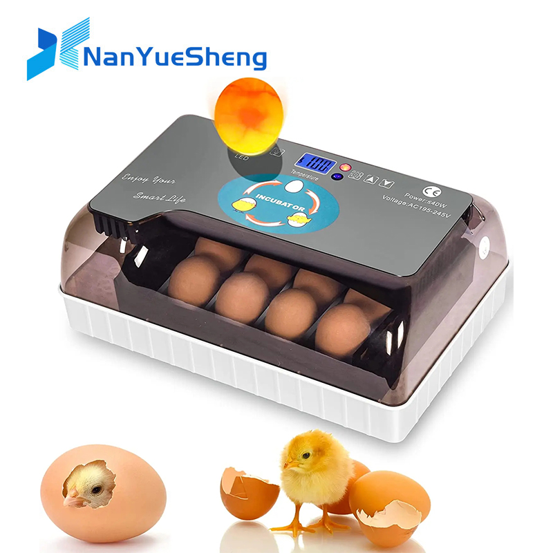 Poultry Incubator - Automatic HHD Best Digital 12 Chick