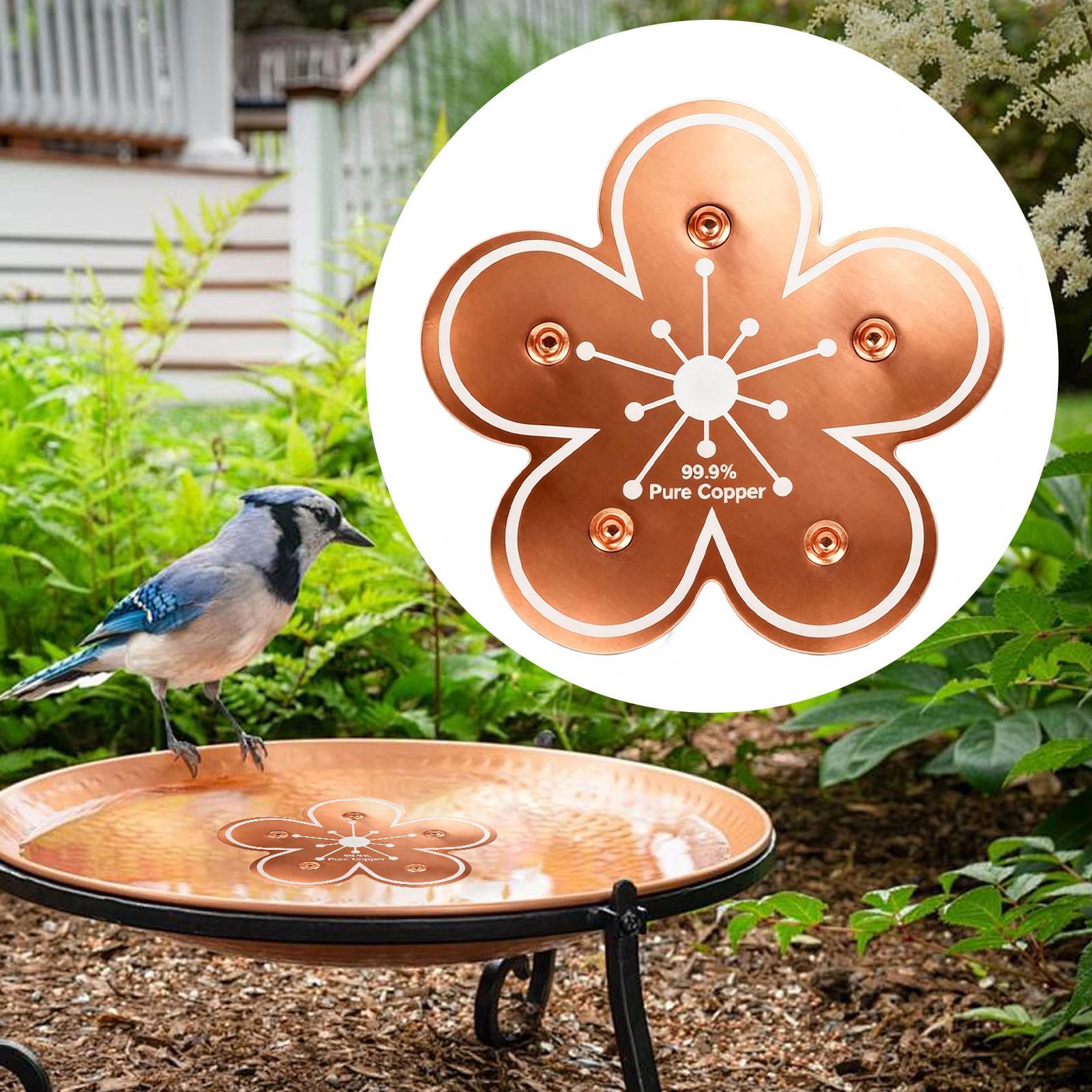 Bird bath tray Copper Bird Bat - Farming And Agriculture ulasan dan harga