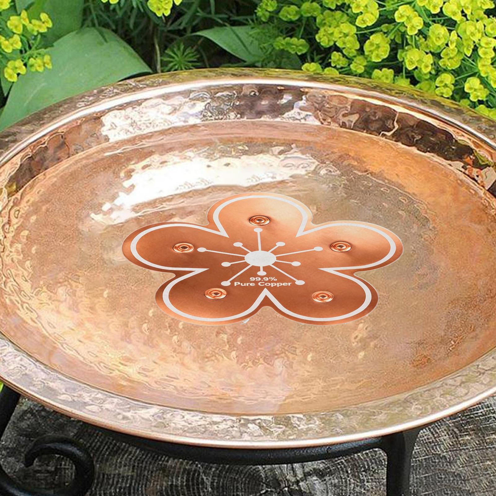 Bird bath tray Copper Bird Bat - Farming And Agriculture ulasan dan harga