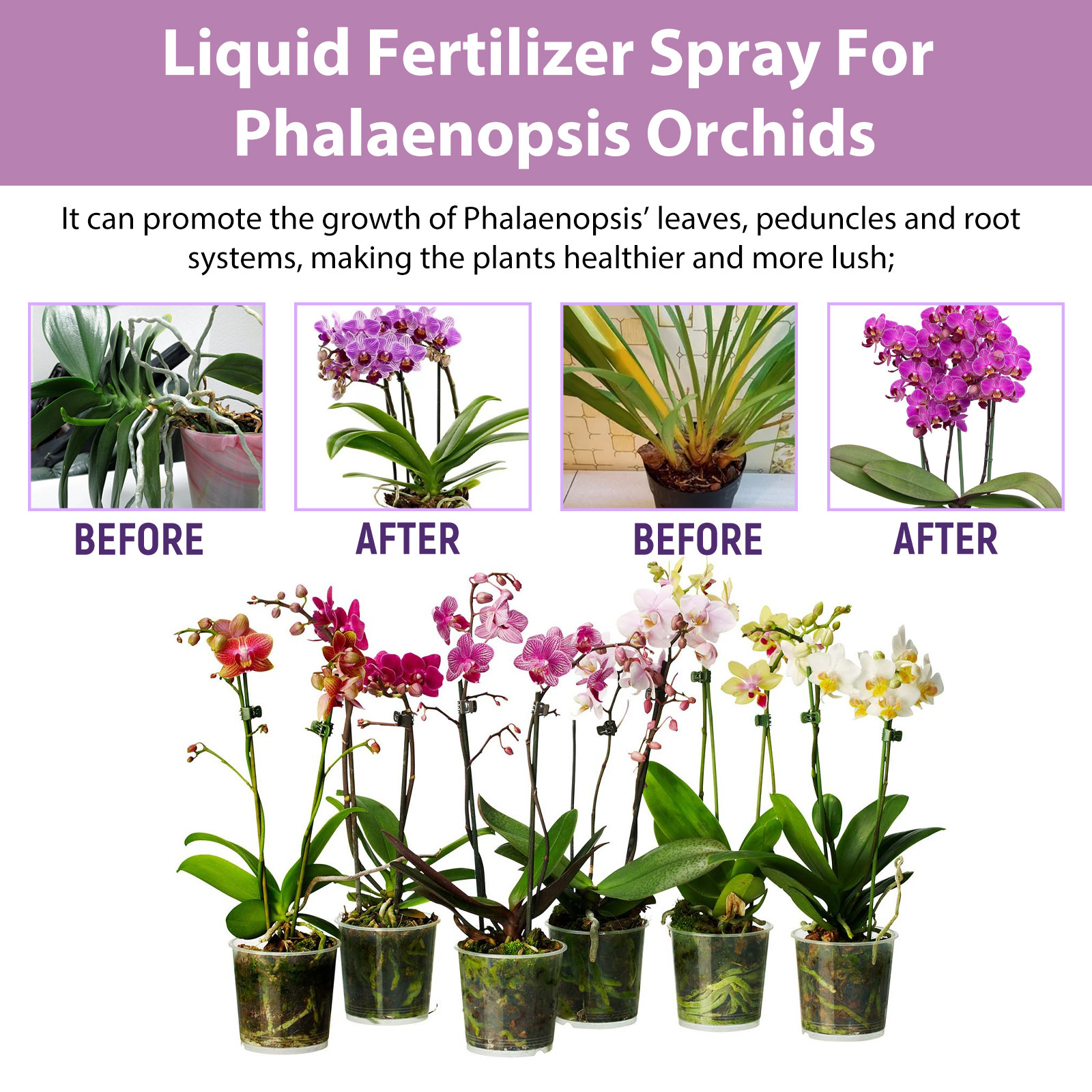 100ml Orchid Bloom Booster Spr - Orchard Sprayer Tractor ulasan dan harga