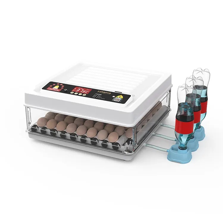 Fully Automatic 130 Capacity E - Poultry Incubator ulasan dan harga