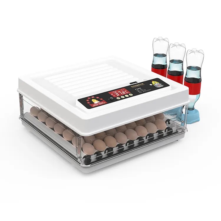 Fully Automatic 130 Capacity E - Poultry Incubator ulasan dan harga