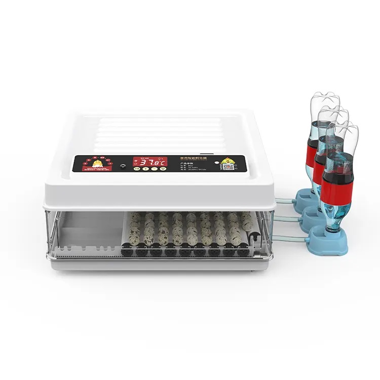 Fully Automatic 130 Capacity E - Poultry Incubator ulasan dan harga