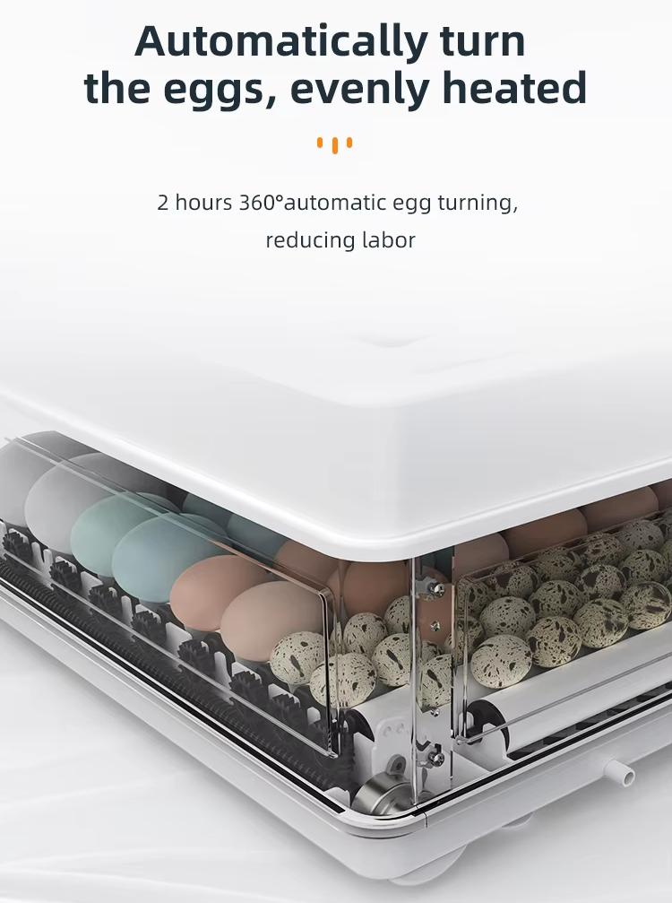 Fully Automatic 130 Capacity E - Poultry Incubator ulasan dan harga