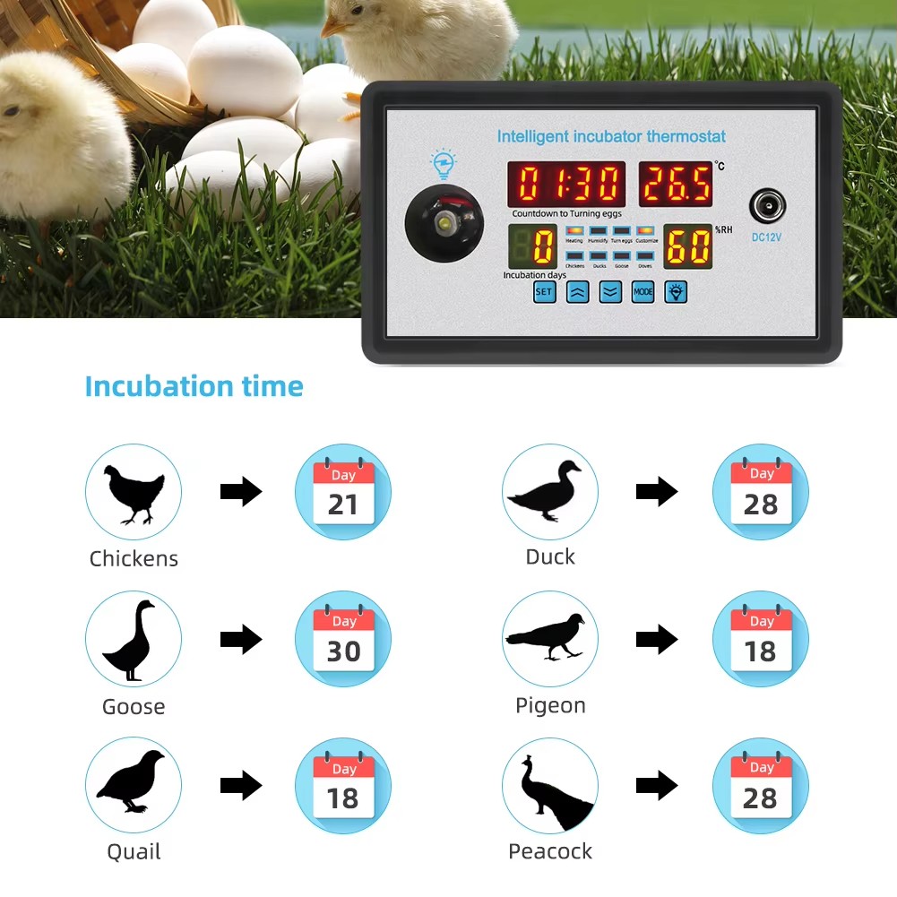 ZFX-W9002 12V/220V Egg Incubat - Poultry Incubator ulasan dan harga