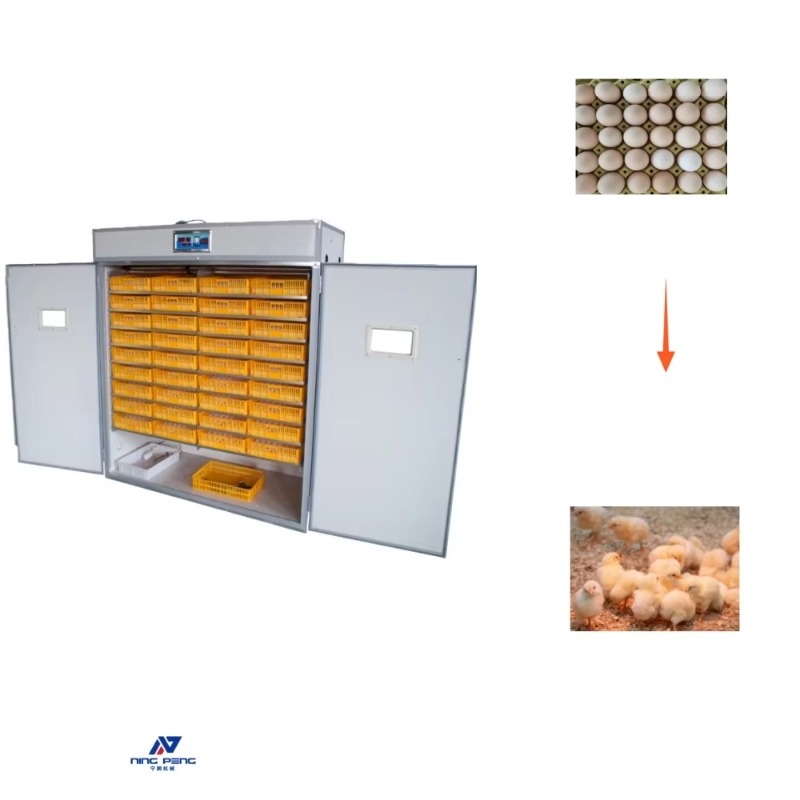 Poultry Egg Incubator Machine  - Poultry Incubator ulasan dan harga