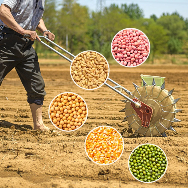 Farm Minchery Onion Machine Se - Agriculture Onion Farming ulasan dan harga