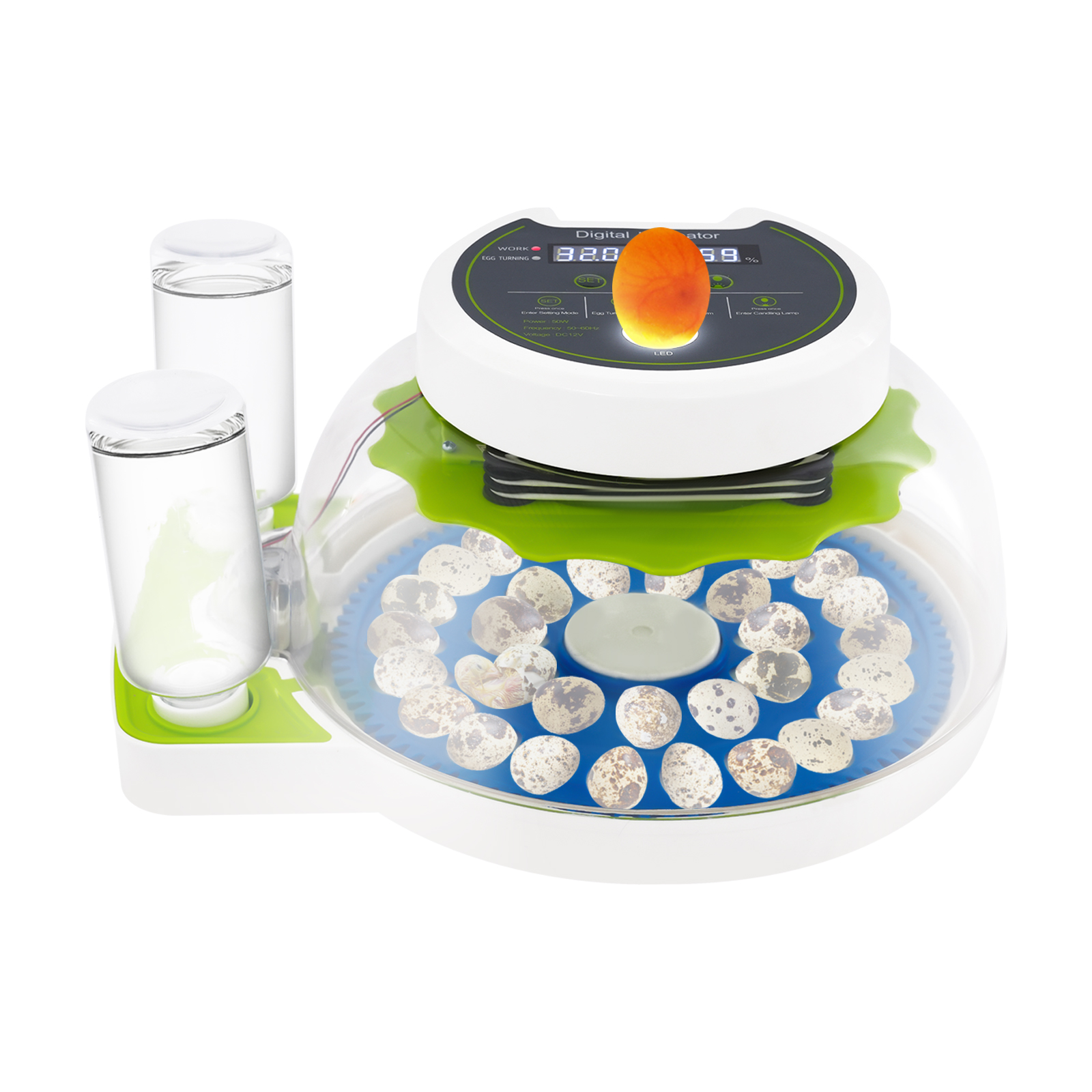 50W 12.2*9.84*6.1in Quail Egg  - Poultry Incubator ulasan dan harga