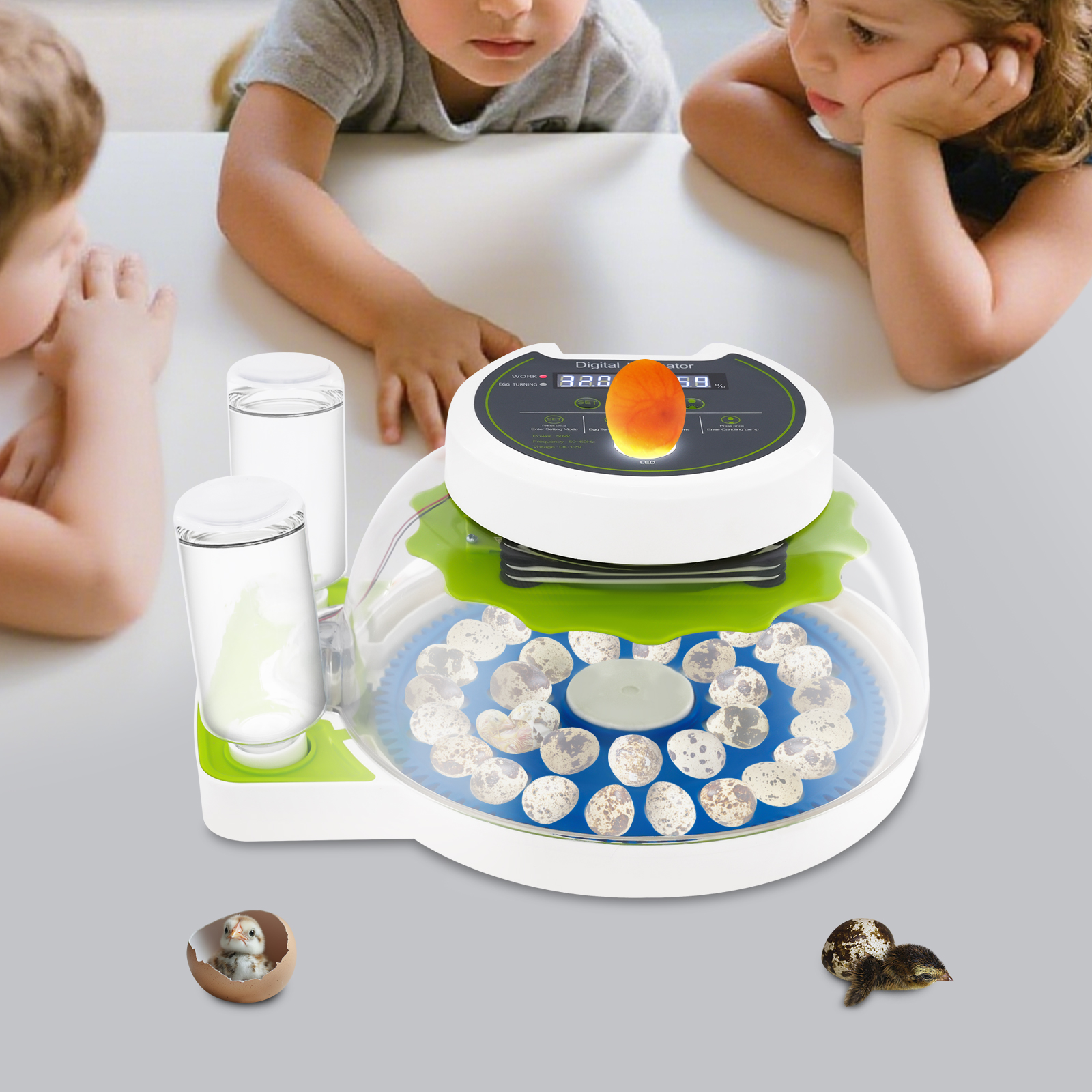 50W 12.2*9.84*6.1in Quail Egg  - Poultry Incubator ulasan dan harga