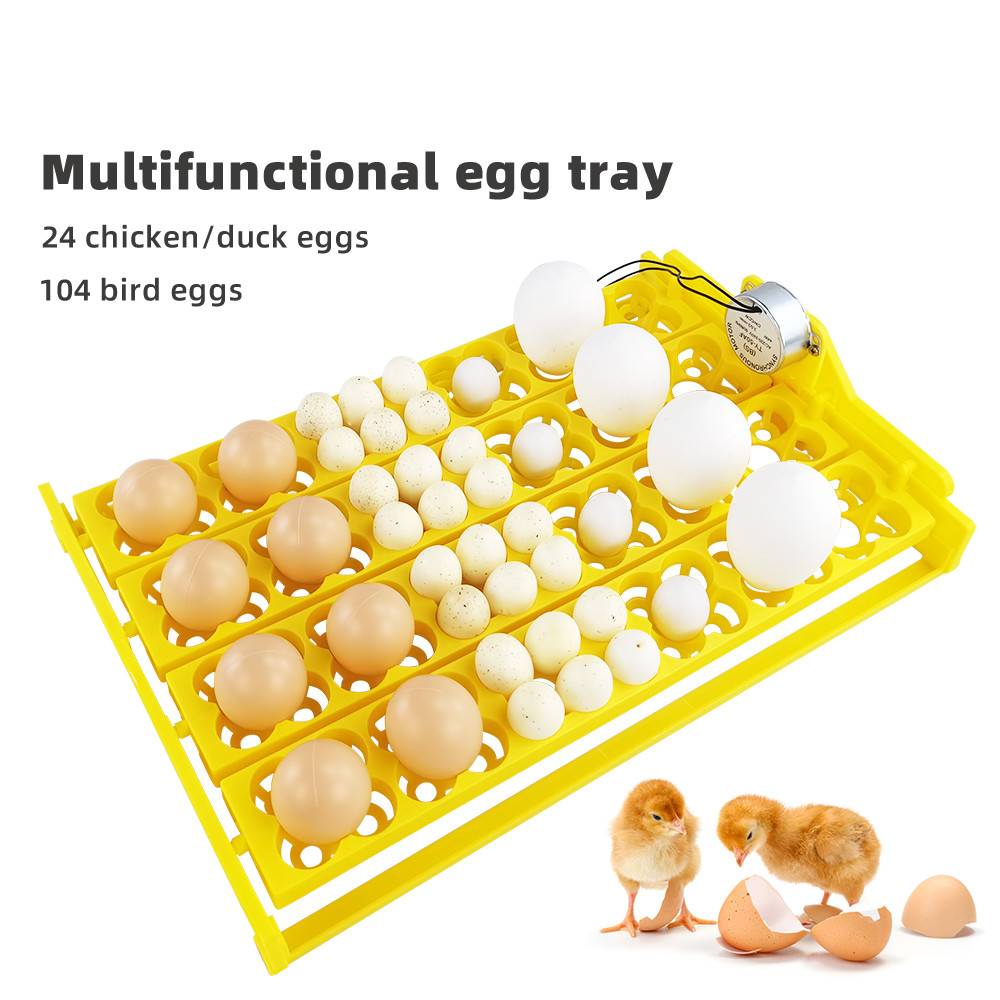 24pcs Eggs Incubator Tray Auto - Poultry Incubator ulasan dan harga