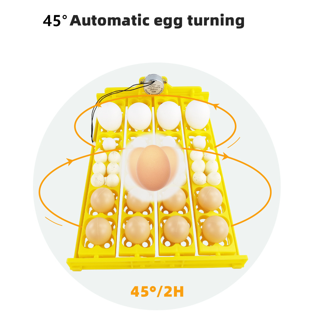 24pcs Eggs Incubator Tray Auto - Poultry Incubator ulasan dan harga