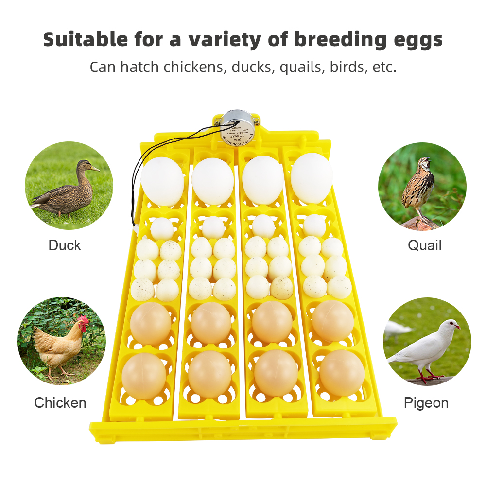 24pcs Eggs Incubator Tray Auto - Poultry Incubator ulasan dan harga