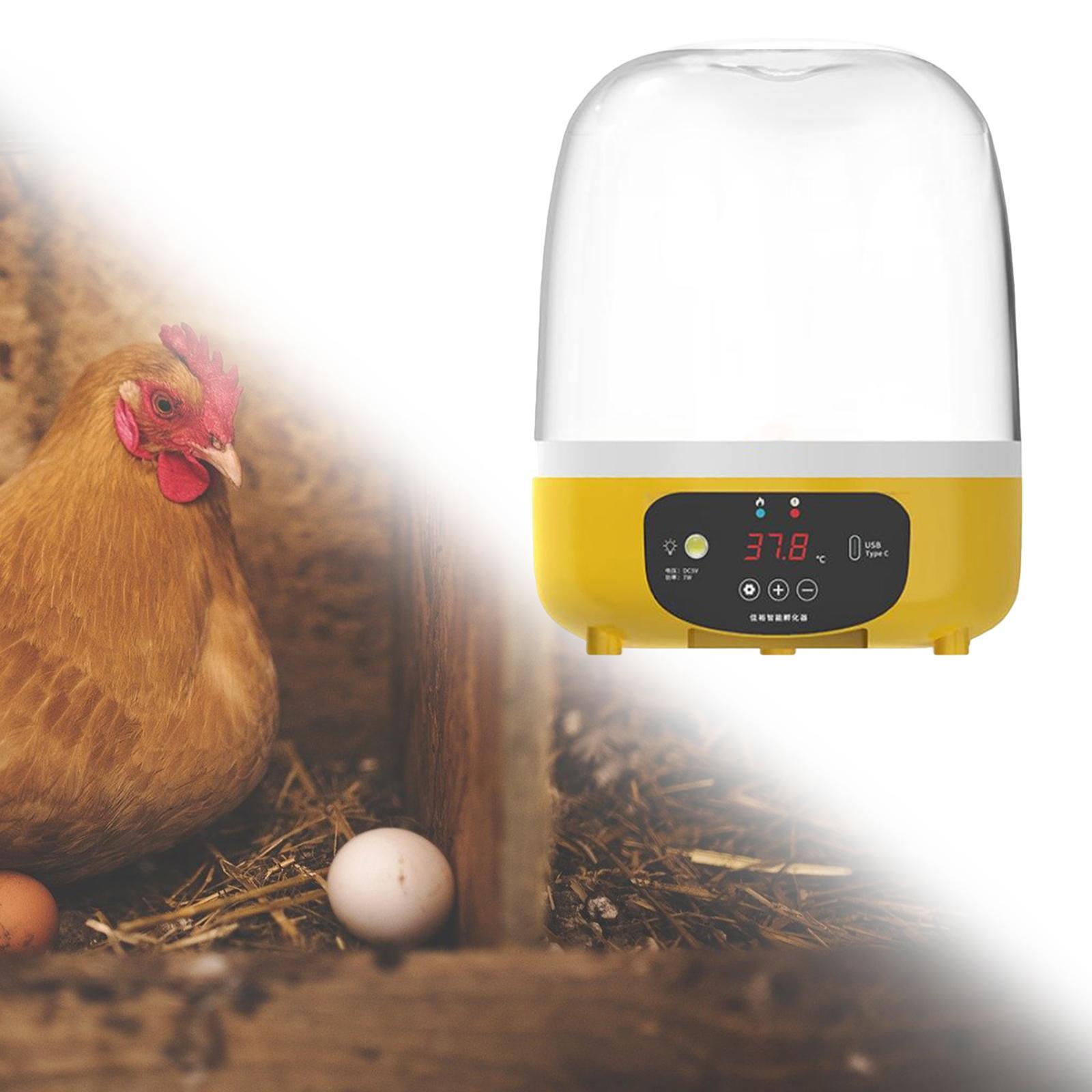 Digital Automatic Egg Incubato - Poultry Incubator ulasan dan harga