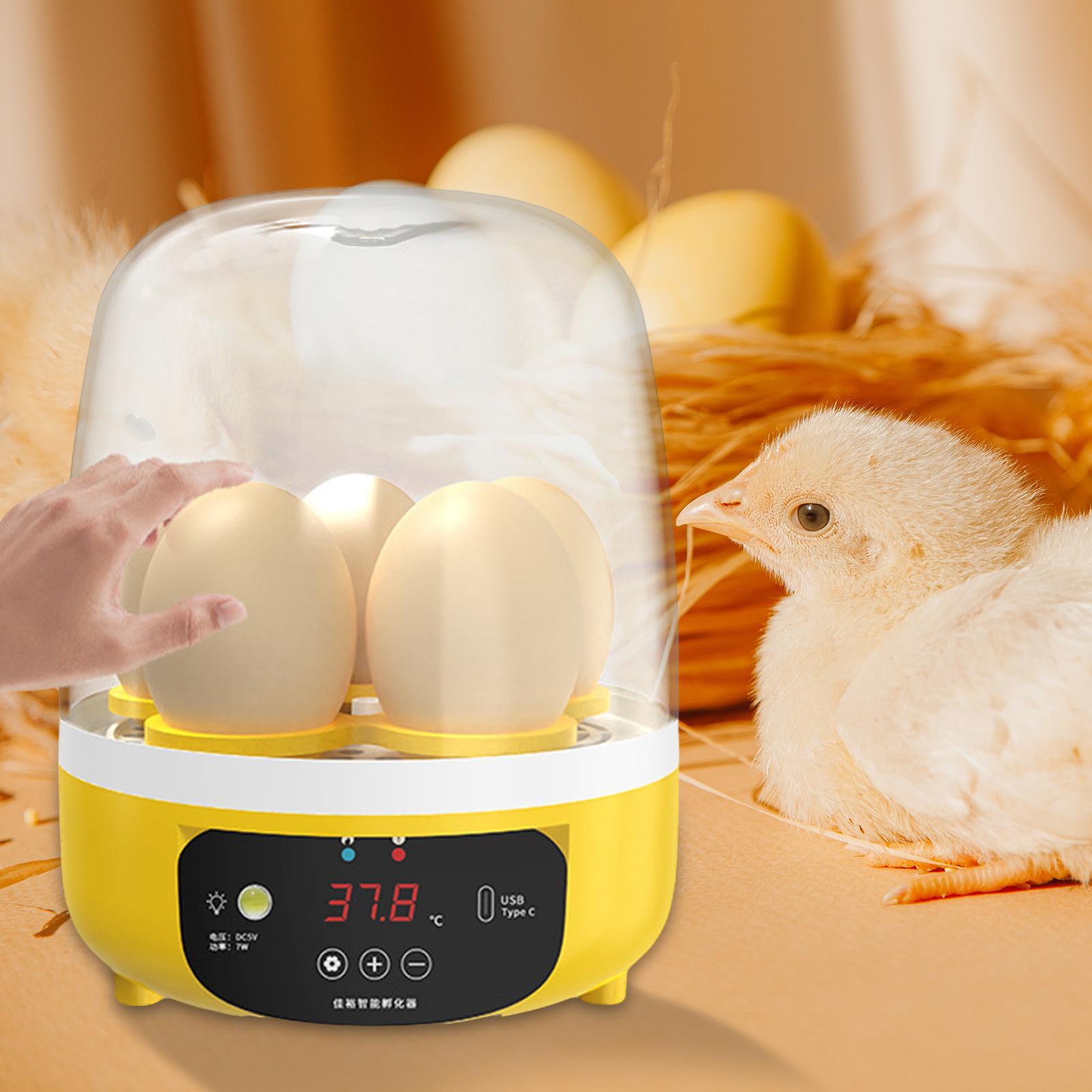 Digital Automatic Egg Incubato - Poultry Incubator ulasan dan harga