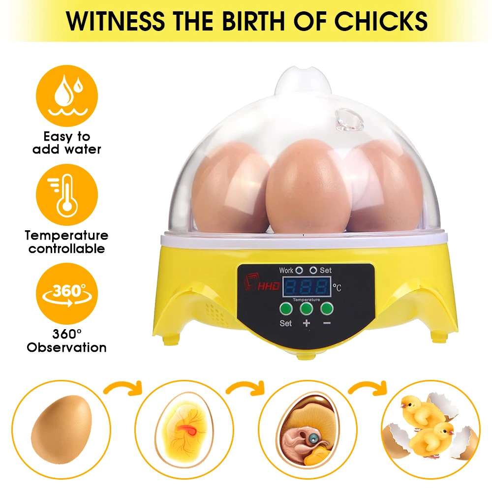 7 Capacity- Mini Sized Intelli - Poultry Incubator ulasan dan harga
