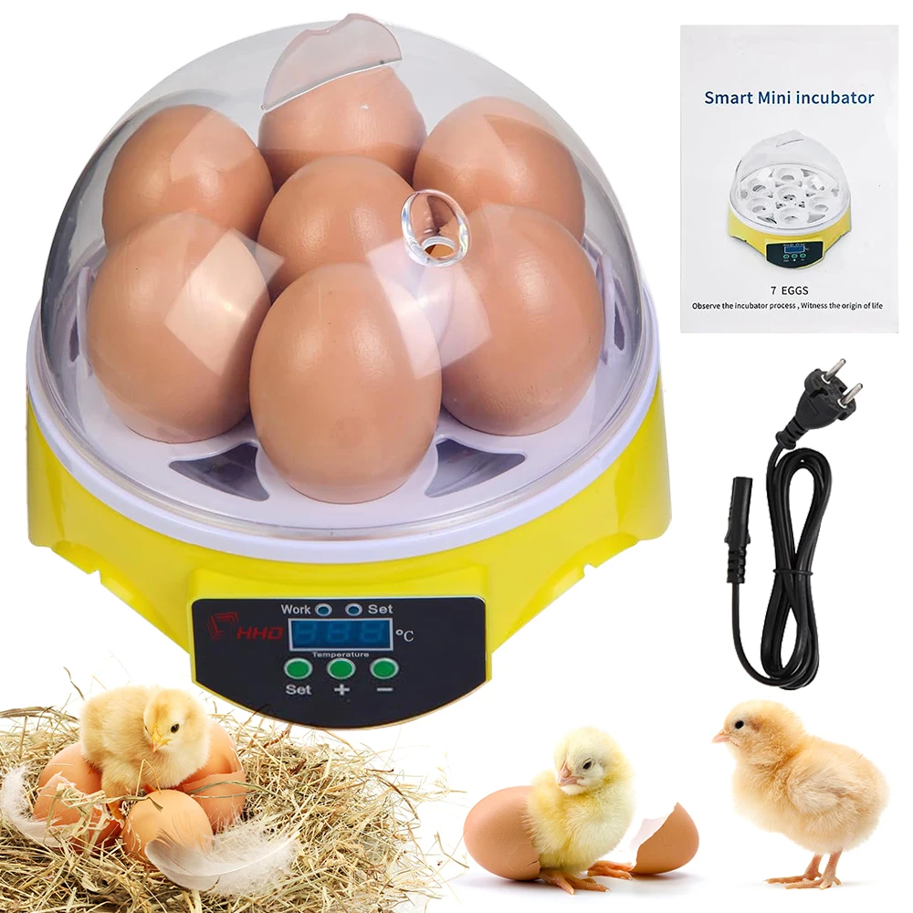 7 Capacity- Mini Sized Intelli - Poultry Incubator ulasan dan harga
