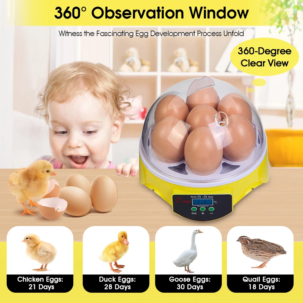 7 Capacity- Mini Sized Intelli - Poultry Incubator ulasan dan harga