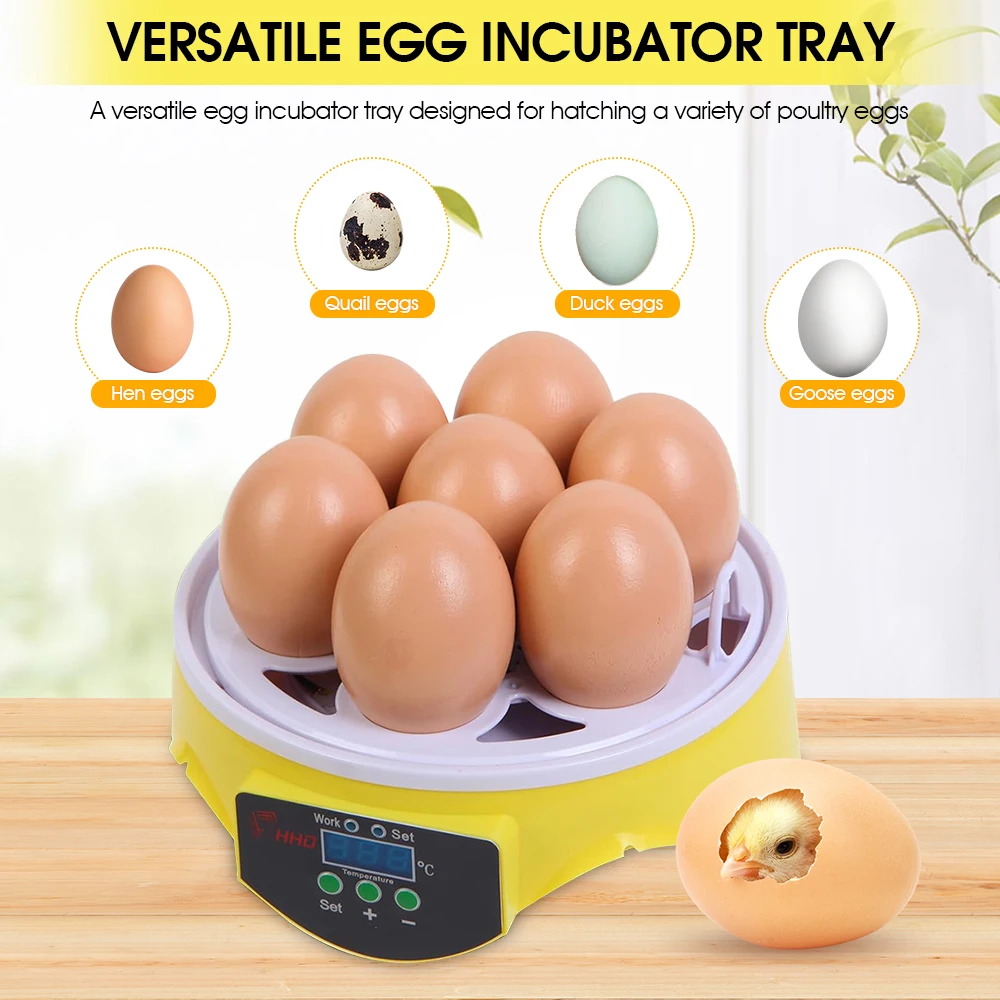 7 Capacity- Mini Sized Intelli - Poultry Incubator ulasan dan harga