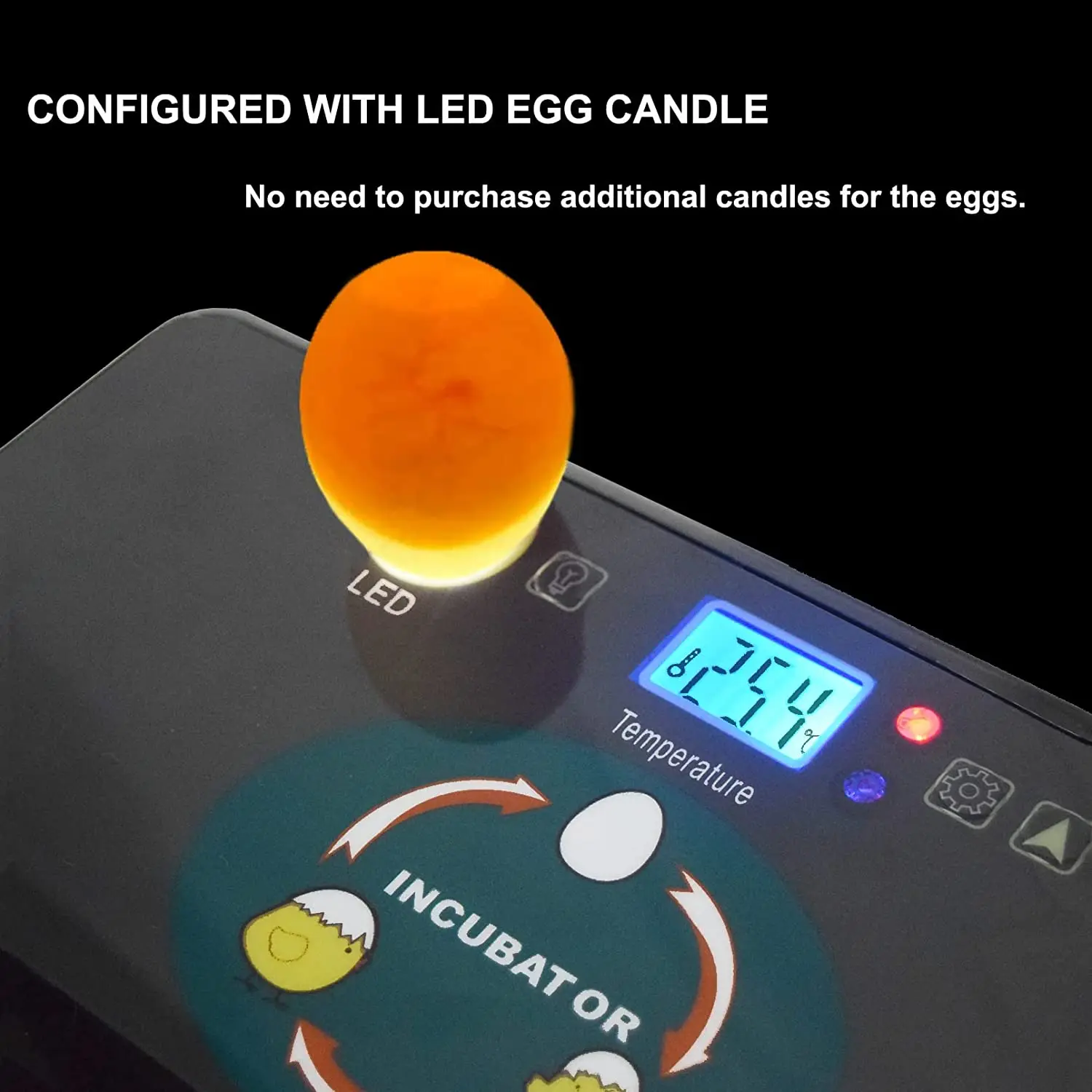 Automatic HHD Best Digital 12  - Poultry Incubator ulasan dan harga