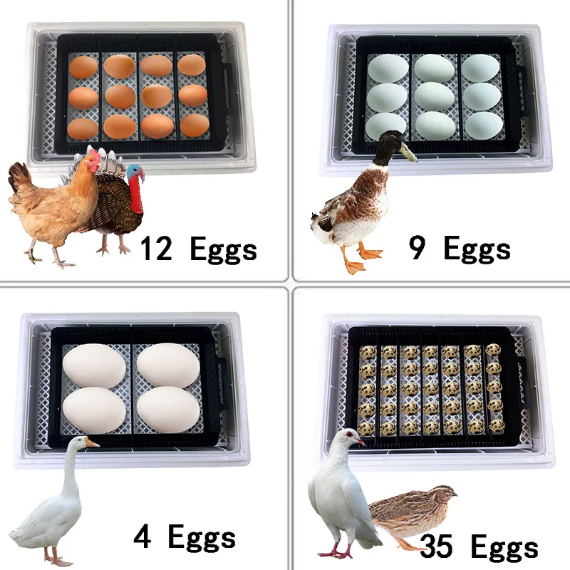 Automatic HHD Best Digital 12  - Poultry Incubator ulasan dan harga