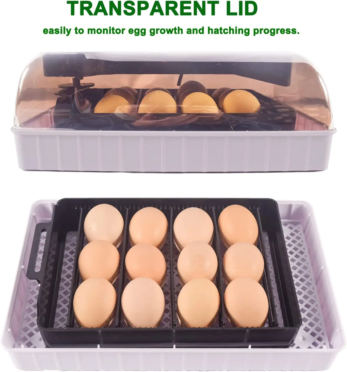 Automatic HHD Best Digital 12  - Poultry Incubator ulasan dan harga