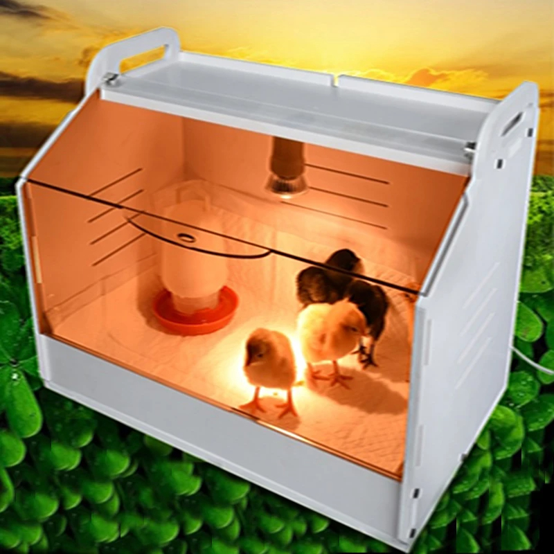 Brooding Incubator For Chicks  - Poultry Incubator ulasan dan harga