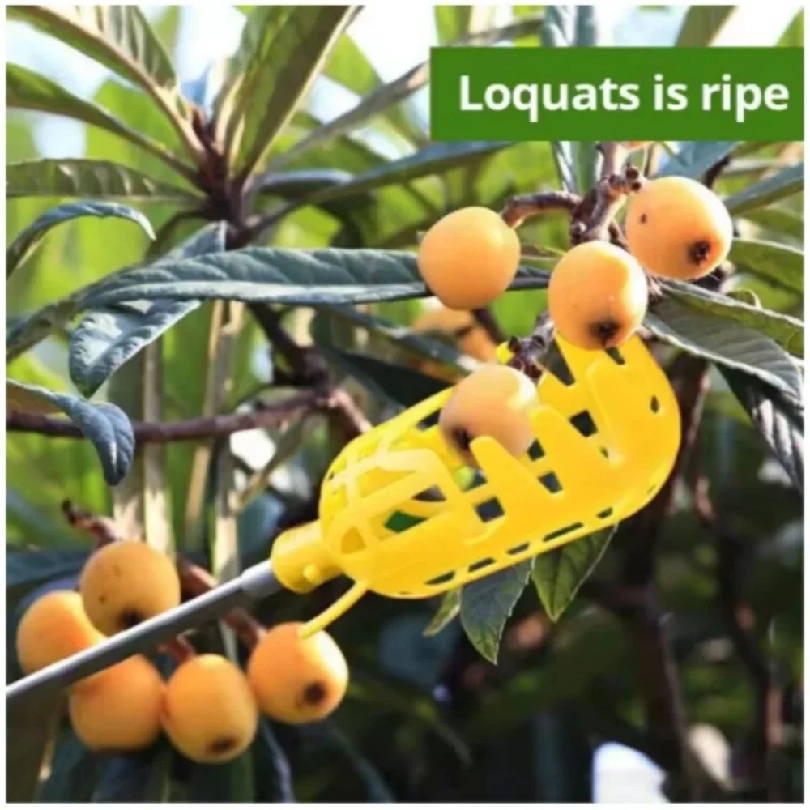 Farm Garden Picking Tools Frui - Farming Farmer ulasan dan harga