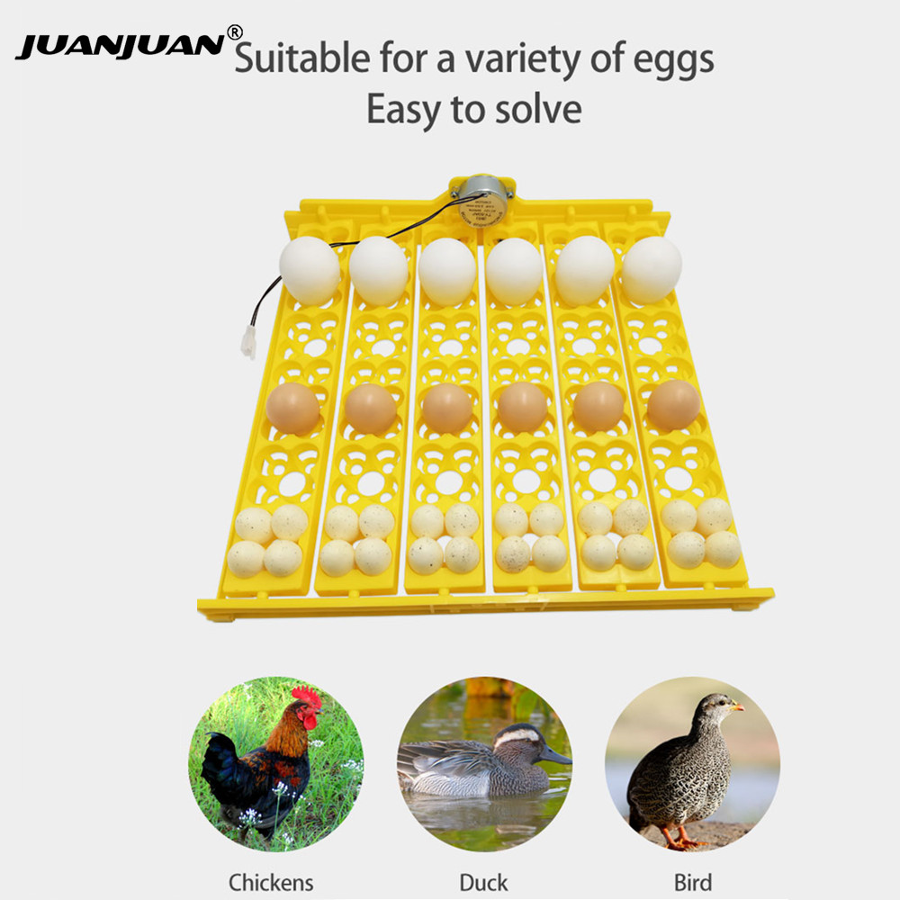 24 Eggs Tray Incubator Turner  - Poultry Incubator ulasan dan harga