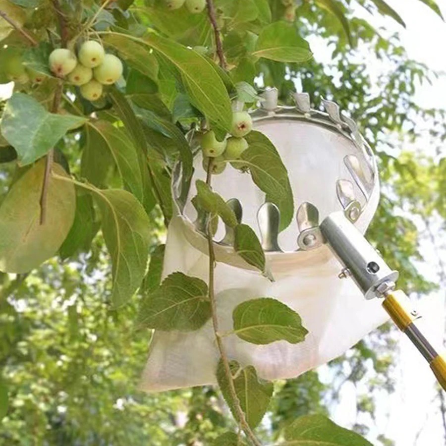 Professional Berry Picker Tool - Farming Farmer ulasan dan harga