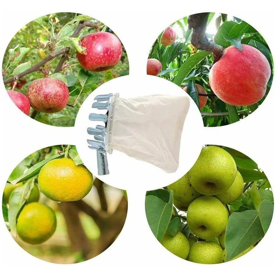 Professional Berry Picker Tool - Farming Farmer ulasan dan harga