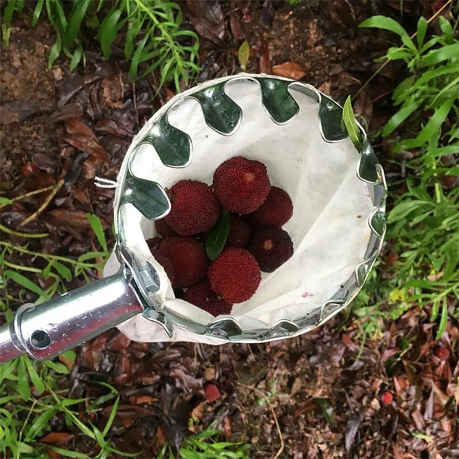 Professional Berry Picker Tool - Farming Farmer ulasan dan harga