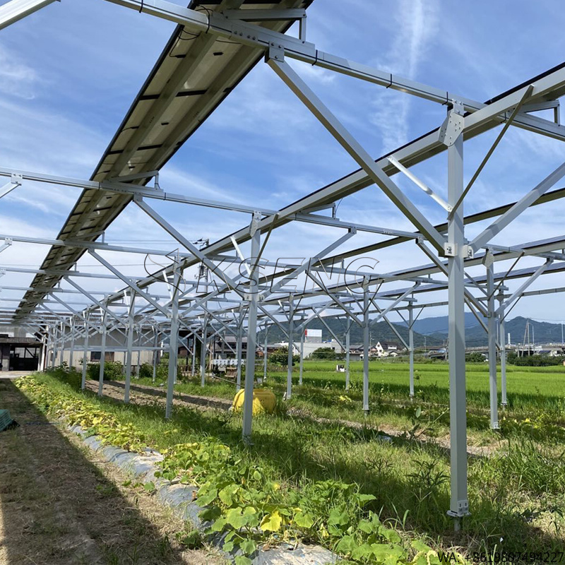 Japan`s New Agriculture Alumin - Sustainable Agriculture/Farming ulasan dan harga