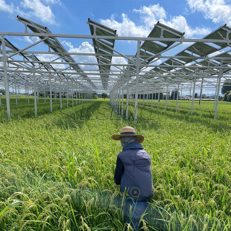 Japan`s New Agriculture Alumin - Sustainable Agriculture/Farming ulasan dan harga