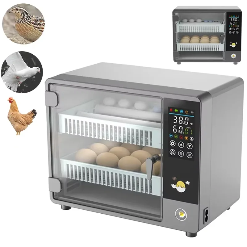Smart Automatic Egg Incubator  - Poultry Incubator ulasan dan harga