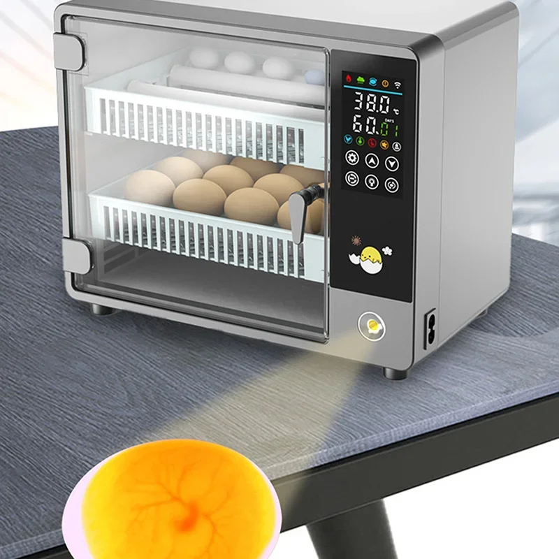 Smart Automatic Egg Incubator  - Poultry Incubator ulasan dan harga