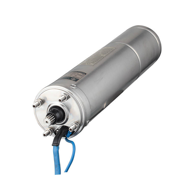 QQPUMP 4SPM5-17 Vertical 2 Sub - Farming Pump For Agriculture ulasan dan harga